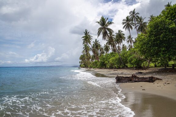 Tropical Beach with Palm Trees Mbonege Beach, known for its crystal-clear waters and historical remnants from WWII