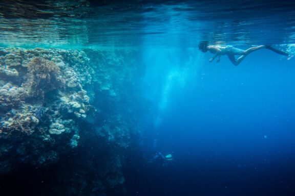 Scuba Diver Exploring Underwater Reef Scuba Diving in Pohnpei, one of the world's richest coral reefs