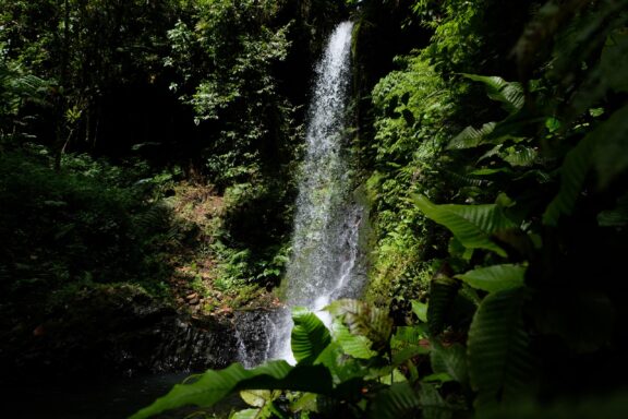 Secluded Waterfall Amidst Lush Greenery Atmospheric scenic view of waterfall hidden in the remote jungle
