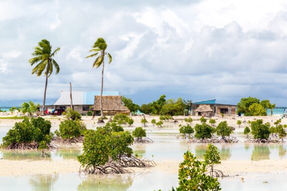 Flooded Coastal Village with Palm Trees Flooded village in South Tarawa