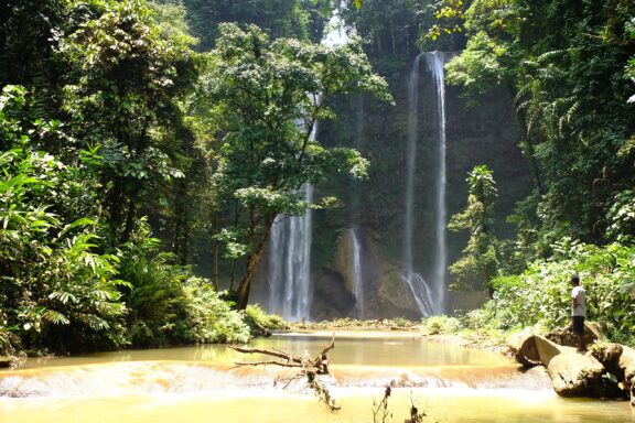 Tropical Waterfall in Lush Forest Tenaru Falls, renowned for its stunning cascade