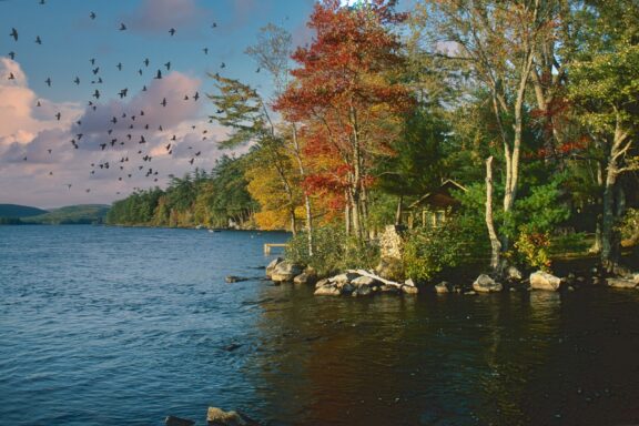 A cabin sits behind trees along the Kennebec River in Maine.