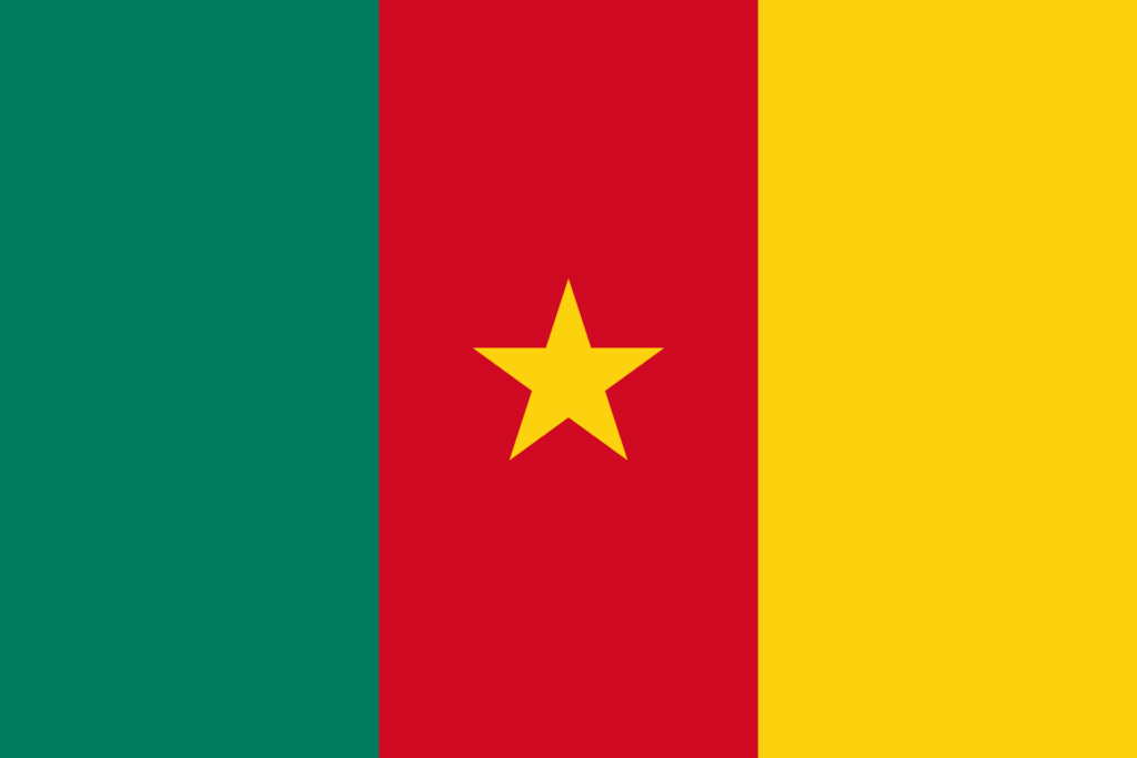 Flag of Cameroon with vertical stripes in green, red, and yellow, and a gold star centered on the red stripe.