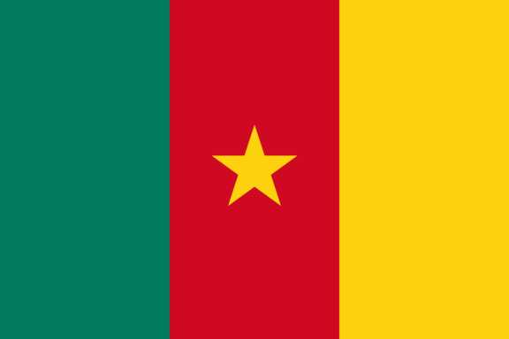 Flag of Cameroon with vertical stripes in green, red, and yellow, and a gold star centered on the red stripe.