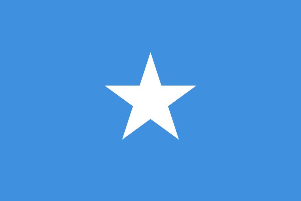 Flag of Somalia with a light blue background and a white five-pointed star in the center.