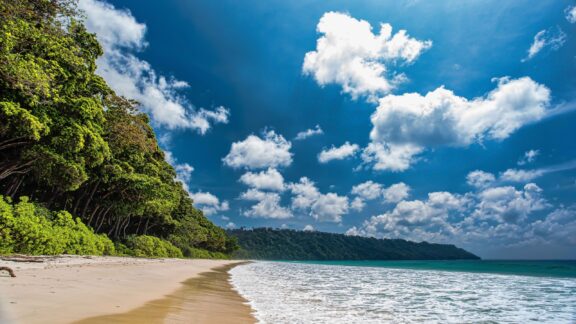 Trees, ocean, and sand meet under a partly cloudy sky on India’s Havelock Island.