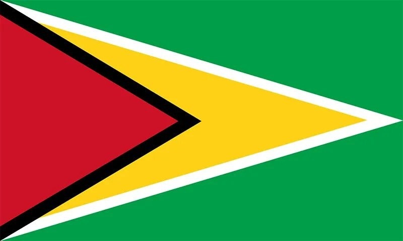 Flag of Guyana with a green field and yellow, white, red, and black triangles.