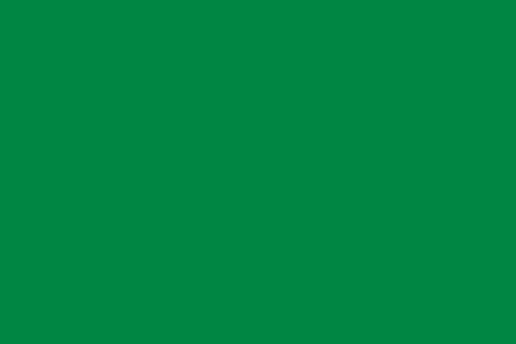 Plain green flag representing the former national flag of Libya.