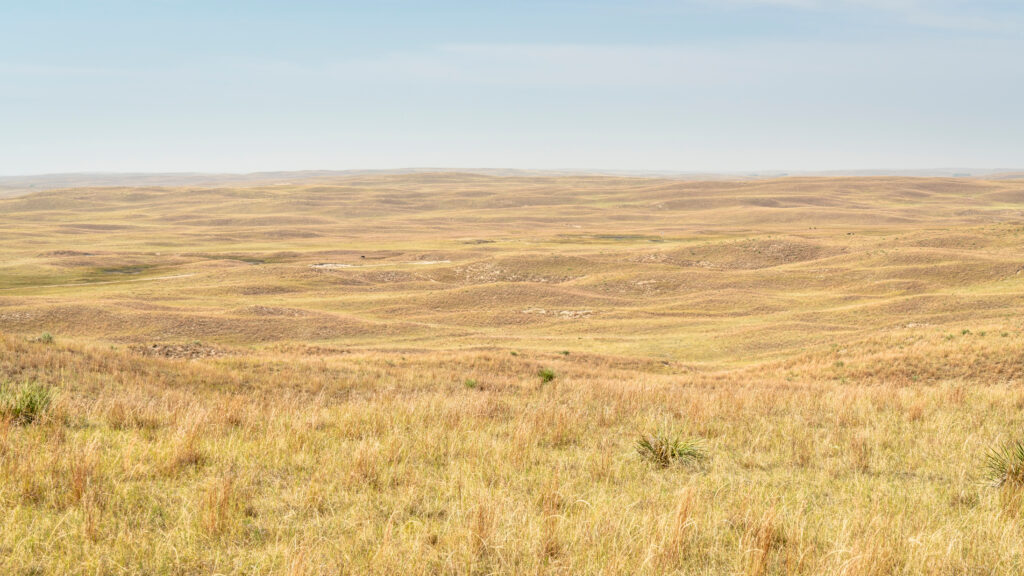 Grassy, rolling hills extend into the distance in Arthur County, Nebraska.