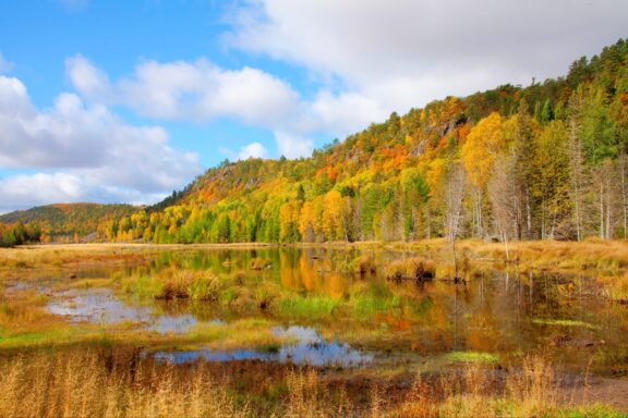 Trees with autumn foliage reflect in a small body of water in Michigan’s Keweenaw County.