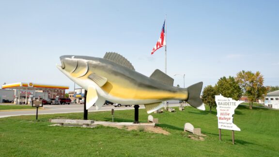 A large sculpture of a walleye fish stands on the grass in Baudette, Lake of the Woods County, Minnesota.