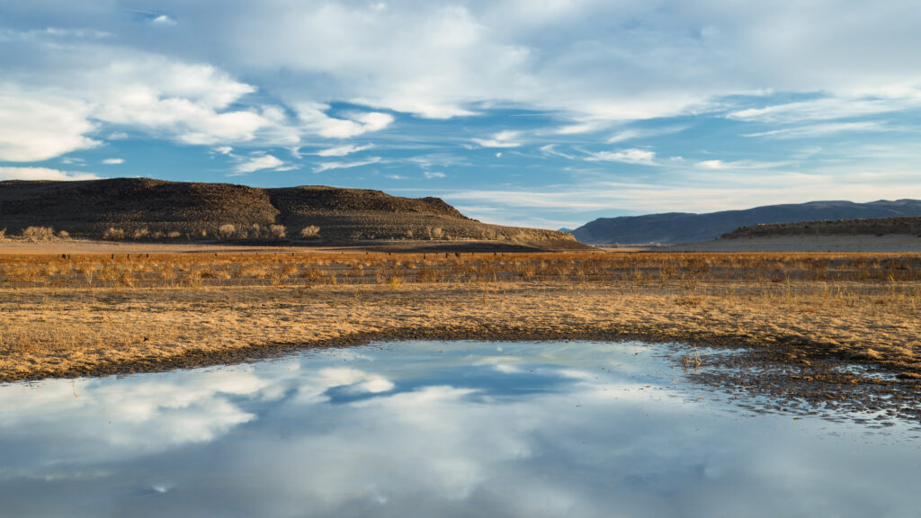 The edge of a lake reflects clouds and is surrounded by grasslands in Lyon County, Nevada.