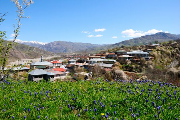 The roofs of houses in Lahıc Village can be seen beyond a field of flowers in the economic region of Mountainous Shirvan.