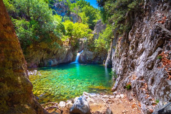 A small waterfall feeds a natural pool surrounded by rocks and foliage.