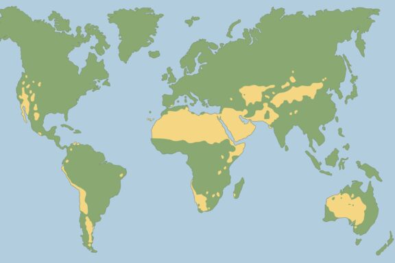 Worlds largest deserts like Sahara, Gobi, Kalahari, Arabian, Patagonian and Great Basin Desert. Global map with yellow desert climate.