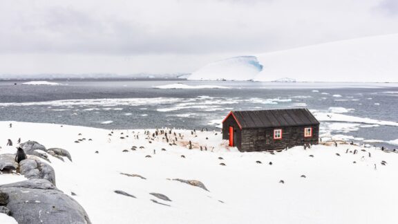 A group of penguins surround a small building at the Port Lockroy natural harbor.