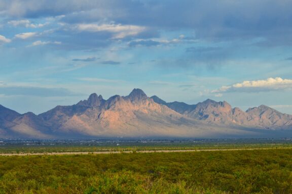 The Organ Mountains stand tall in the distance beyond fields of grass.