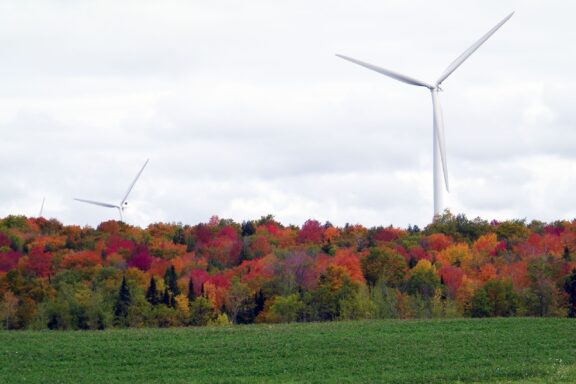 Tall wind turbines tower above the trees at the Maple Ridge Wind Farm in Lewis County, New York.