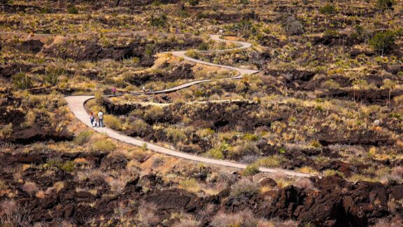 A family walks along a curved pathway through the Valley of Fires Recreation Area.