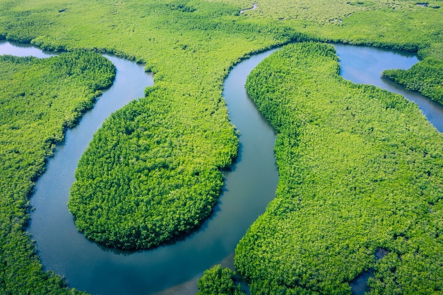 Amazon river