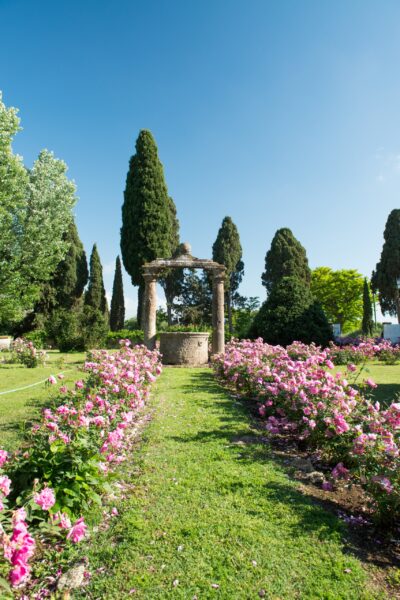 Beautiful garden in Bolgheri