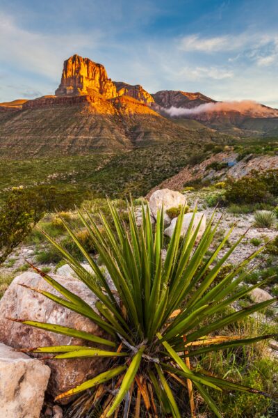 The scenic Guadalupe Valley