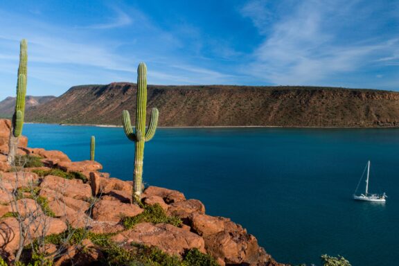 The Espiritu Santo Island