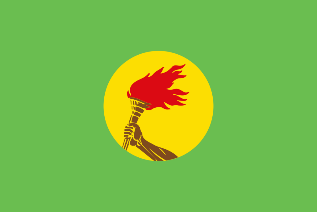 Flag of Zaire with a green background, yellow disc, and red arm holding a flaming torch.