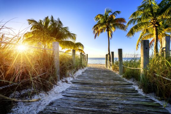 Palm trees and way to the beach in Key West, Miami, Florida, Southeast USA