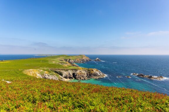 Saltee Islands, an avian haven