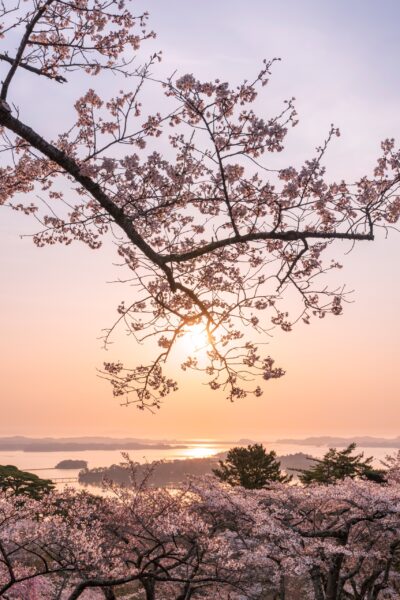 Matsushima, Miyagi, a scenic beauty among pine-clad isles