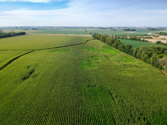 Midwest corn field overhead drone