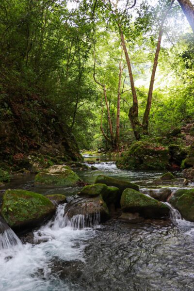 The Sierra Gorda Biosphere Reserve