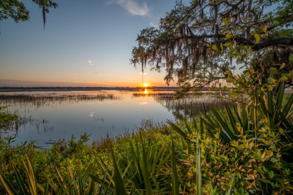 Sunset over a tranquil lake with reflections in the water, framed by Spanish moss-draped trees and lush vegetation in the foreground.