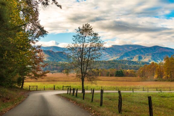 A scenic autumn landscape featuring a road leading towards rolling hills covered with colorful foliage, a clear sky with clouds above, and a wooden fence running alongside the road.