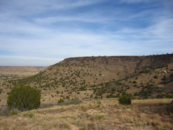 Shrubs line Black Mesa, the highest point in Oklahoma.