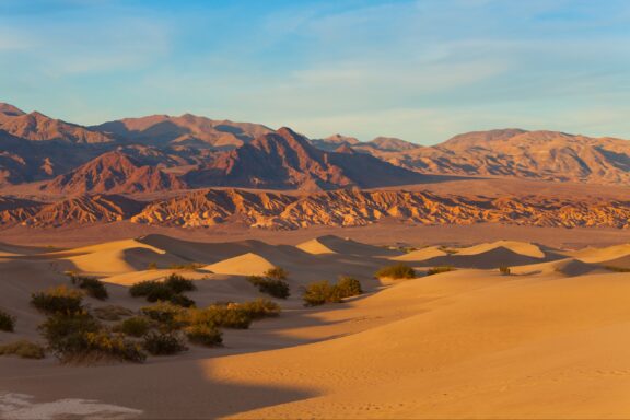 A desert landscape at sunset featuring rolling sand dunes in the foreground with sparse vegetation and rugged mountains in the background bathed in warm light.