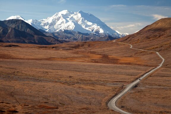 A winding road traverses a vast, golden-hued tundra landscape against the backdrop of snow-capped Denali under a clear blue sky.