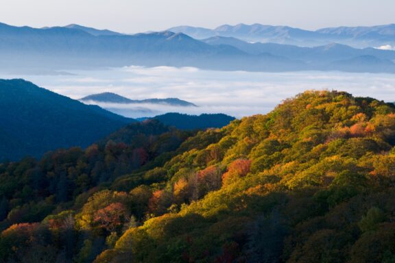 Hills covered with fall foliage and clouds in the distance in Great Smoky Mountains National Park.