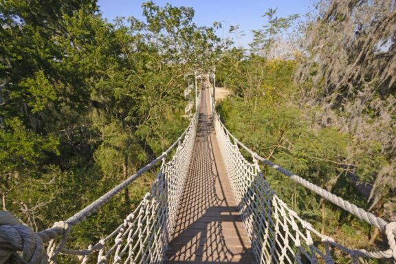 A suspension bridge with rope handrails and wooden planks stretches across a forested area under a clear sky.