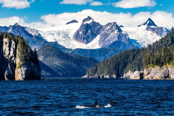 A snow-capped mountain range behind a deep blue sea with a single orca's dorsal fin surfacing in the foreground.