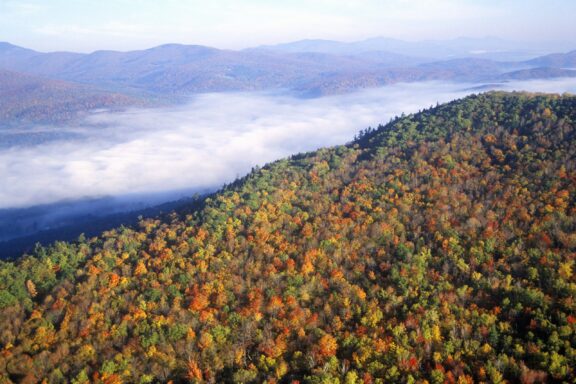 A sweeping view of a forested mountain landscape during autumn with vibrant fall foliage and a layer of fog settled in the valley.