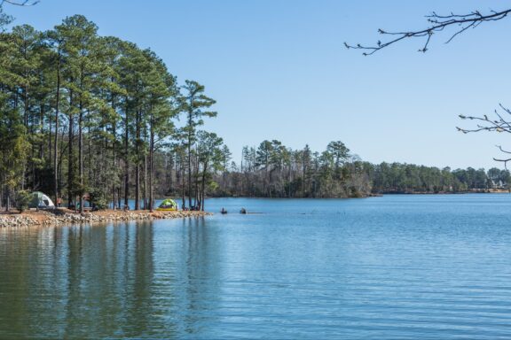 A serene lakeside view with tents set up near the water's edge, surrounded by tall pine trees under a clear blue sky.