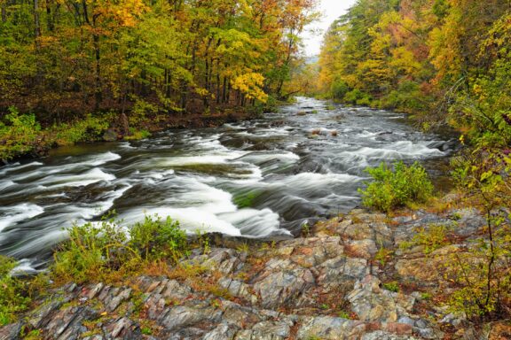 A river flows between trees with green, yellow, and orange leaves.