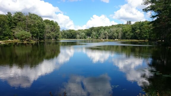 A tranquil lake surrounded by dense trees with reflections of the blue sky and clouds visible on the water's surface.