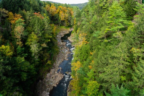 Aerial view of a forested gorge with a flowing river and patches of autumn foliage.