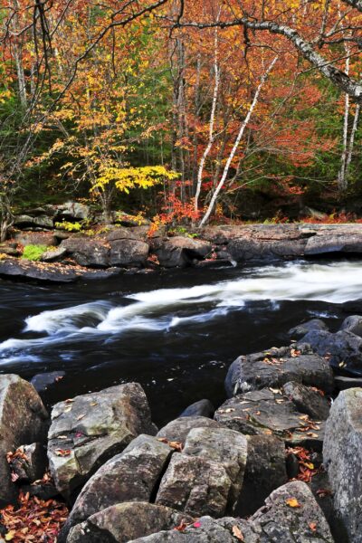 Algonquin's waterways: Ontario's intricate network of nature's arteries