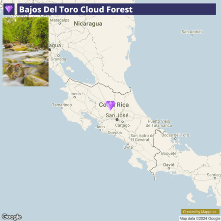 A map highlighting the location of Bajos Del Toro Cloud Forest in Costa Rica, with notable nearby cities and landmarks labeled, and a watermark stating "Created by Mapprr.co" in the bottom right corner.