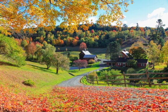 A picturesque autumn landscape featuring a red barn in Vermont and a farmhouse surrounded by trees with vibrant fall foliage, a curving gravel driveway, and a foreground of scattered red leaves on the ground.