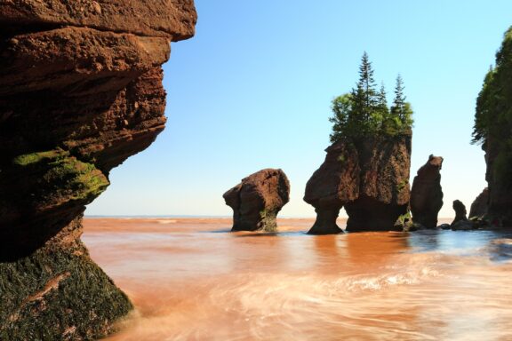 The Hopewell rocks of the Bay Of Fundy